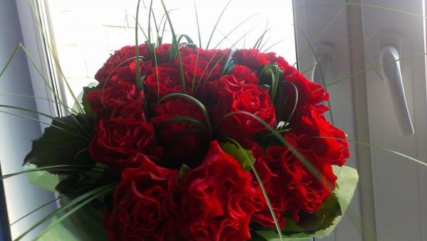 Название: 1920268_725554687478974_629824971_n.jpg
Просмотров: 494
Размер: 27.3 Кб