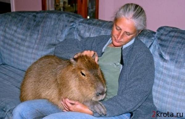 Название: NnChVEs9QAY.jpg
Просмотров: 432
Размер: 36.6 Кб