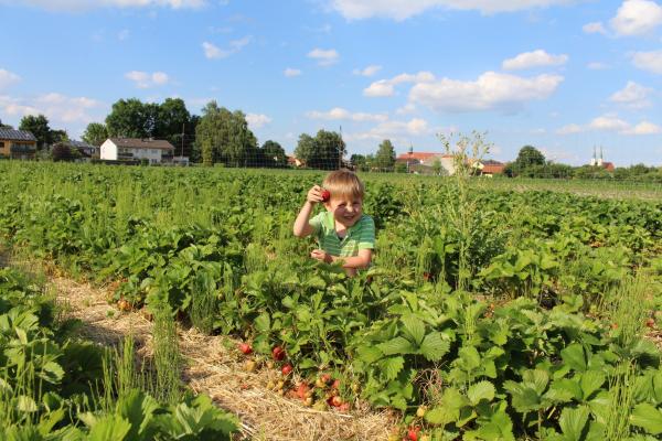 Название: image.jpg
Просмотров: 1049
Размер: 58.7 Кб