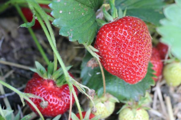 Название: image.jpg
Просмотров: 1063
Размер: 41.0 Кб