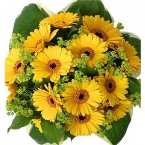 Название: цветы.jpg
Просмотров: 966
Размер: 29.3 Кб