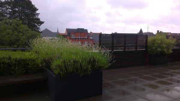 Название: IMAG1016.jpg
Просмотров: 466
Размер: 24.8 Кб