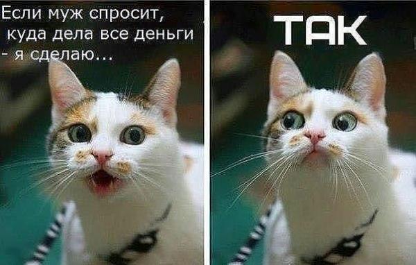Название: 4.jpg
Просмотров: 304

Размер: 40.6 Кб