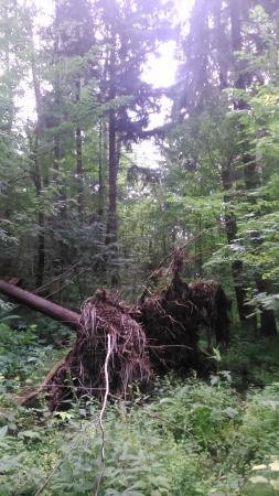 Название: 2014-07-26 11.47.18.jpg
Просмотров: 962
Размер: 30.8 Кб