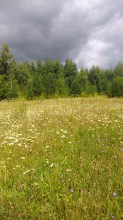 Название: 2014-07-26 11.59.14.jpg
Просмотров: 1035
Размер: 25.2 Кб