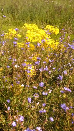 Название: 2014-07-26 12.00.20.jpg
Просмотров: 956
Размер: 37.7 Кб