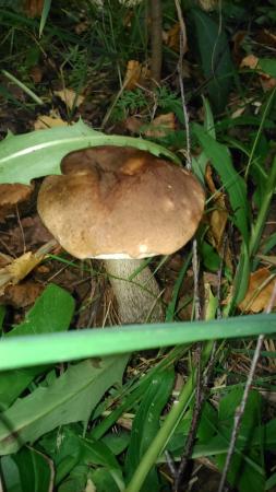 Название: 2014-07-26 12.07.15.jpg
Просмотров: 964
Размер: 24.7 Кб