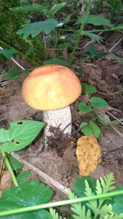 Название: 2014-07-26 12.32.39.jpg
Просмотров: 943
Размер: 27.3 Кб