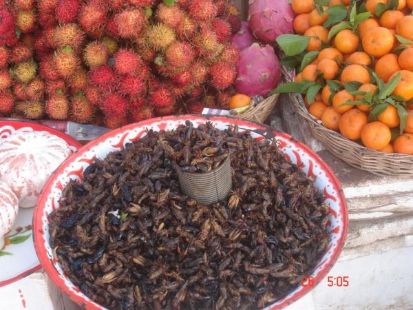 Название: DSC00629.jpg
Просмотров: 622
Размер: 61.9 Кб