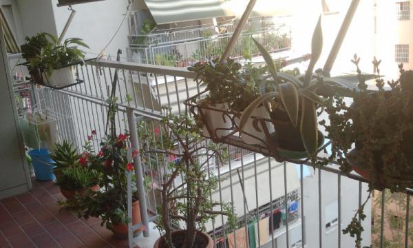 Название: 2014-09-30 16.49.33.jpg
Просмотров: 718
Размер: 42.9 Кб