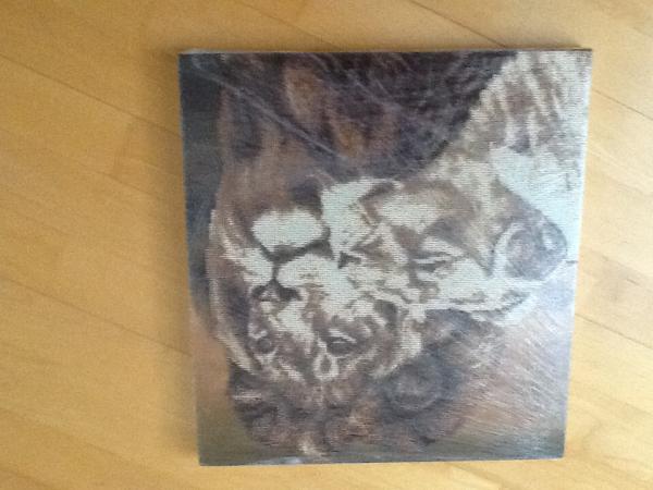 Название: image.jpg
Просмотров: 318
Размер: 36.8 Кб