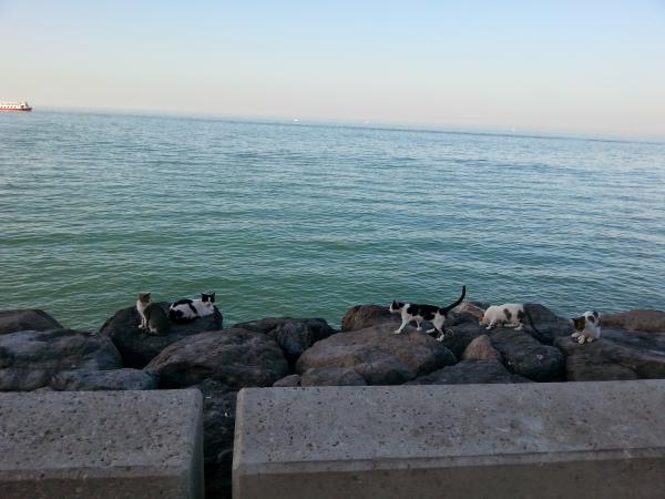 Название: image-4.jpg
Просмотров: 527
Размер: 38.5 Кб