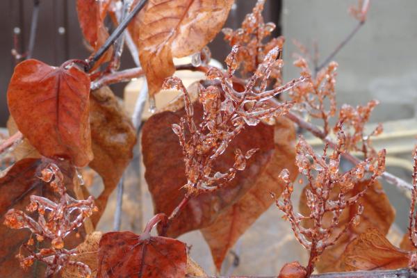 Название: PC091819.jpg
Просмотров: 214
Размер: 43.9 Кб