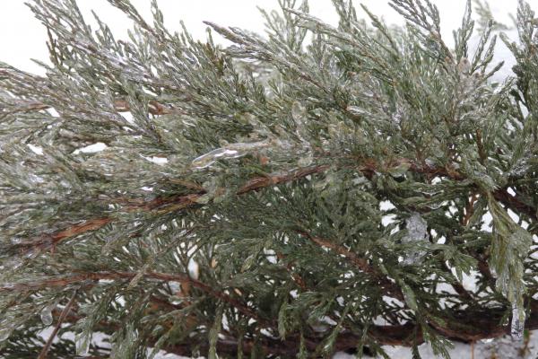 Название: PC091830.jpg
Просмотров: 281
Размер: 67.1 Кб