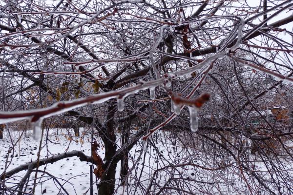 Название: PC091838.jpg
Просмотров: 227
Размер: 94.4 Кб