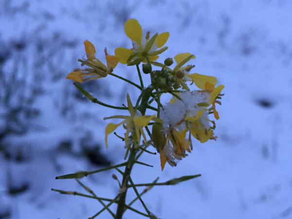 Название: image.jpg
Просмотров: 379
Размер: 29.9 Кб