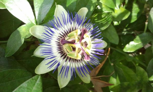 Название: 2014-09-14 13.11.56.jpg
Просмотров: 702
Размер: 36.7 Кб