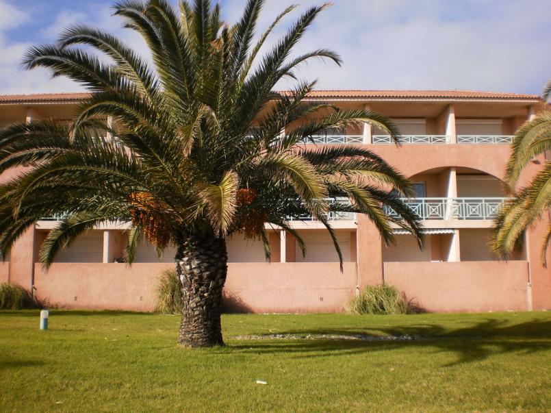 Название: P1230011.jpg
Просмотров: 11195
Размер: 98.0 Кб