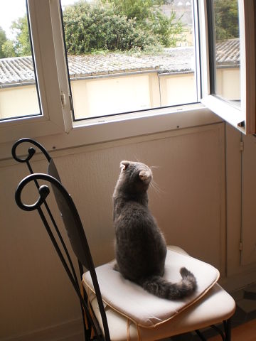 Название: getImage (20).jpg
Просмотров: 4214
Размер: 32.0 Кб