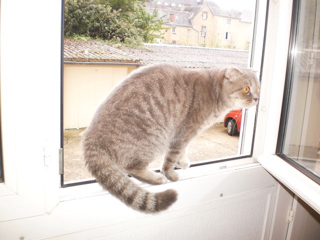 Название: getImage (21).jpg
Просмотров: 4121
Размер: 53.6 Кб