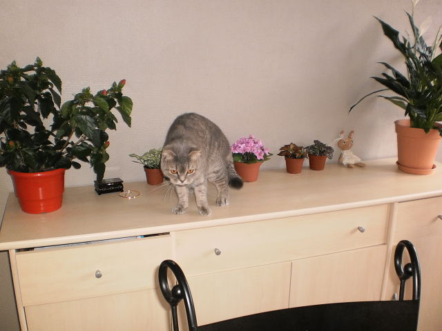 Название: getImage (22).jpg
Просмотров: 4198
Размер: 42.2 Кб