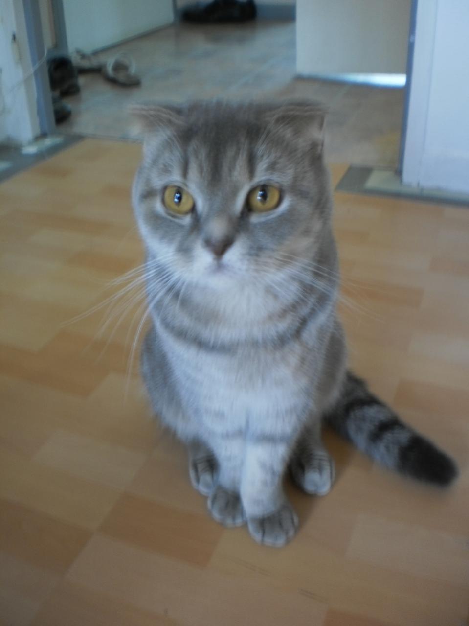 Название: P8300044.jpg
Просмотров: 2048
Размер: 63.5 Кб