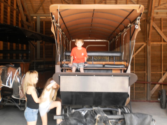 Название: P9160024.JPG
Просмотров: 1790
Размер: 81.5 Кб