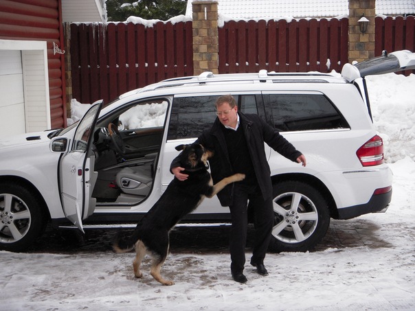 Название: мой пес.jpg
Просмотров: 7742
Размер: 95.4 Кб