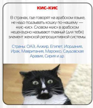 Название: 10659262_10152769986597059_7804649489853041901_n.jpg
Просмотров: 2084

Размер: 28.1 Кб