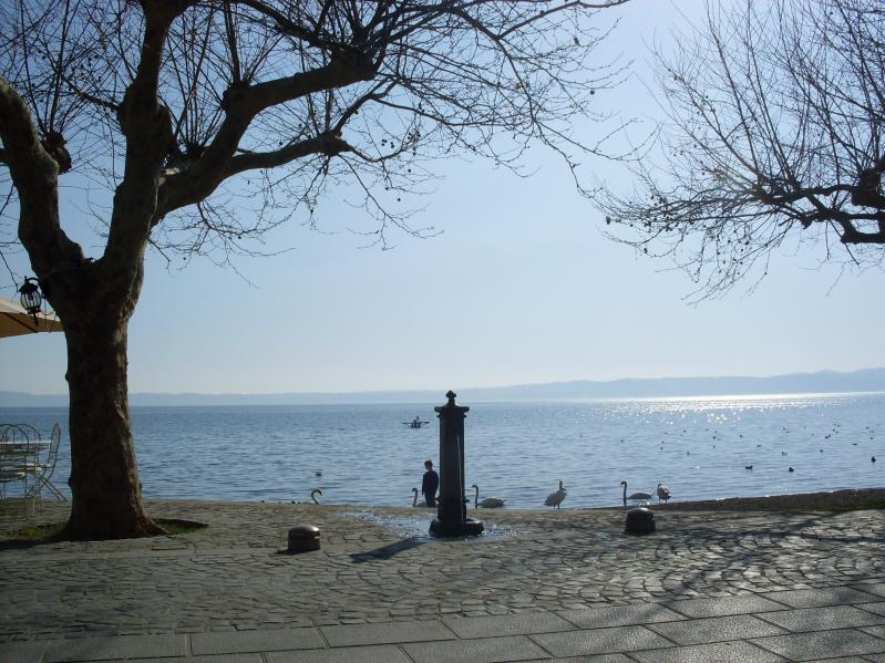 Название: SDC10909.jpg
Просмотров: 1441
Размер: 96.8 Кб