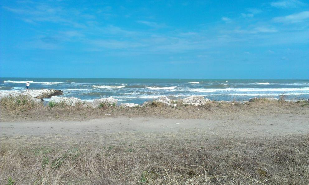 Название: IMAG2423.jpg
Просмотров: 1341
Размер: 97.6 Кб