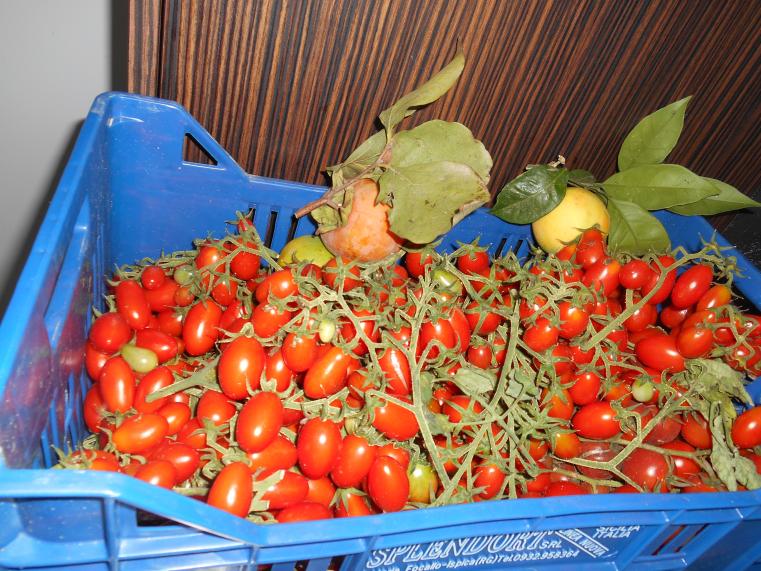 Название: DSCN0280.jpg
Просмотров: 960
Размер: 100.1 Кб