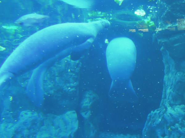 Название: DSCN0621.jpg
Просмотров: 794
Размер: 27.3 Кб