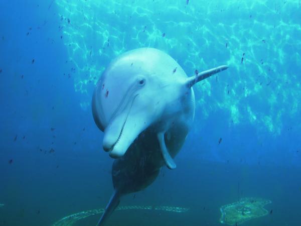 Название: DSCN0672.jpg
Просмотров: 751
Размер: 21.7 Кб