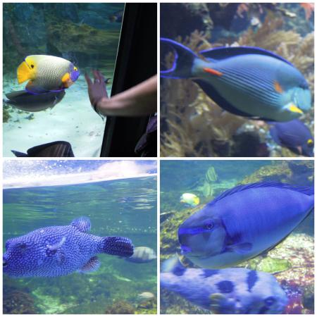 Название: 2222.jpg
Просмотров: 808
Размер: 36.9 Кб