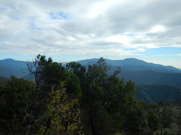 Название: DSCN0264.jpg
Просмотров: 817
Размер: 30.7 Кб