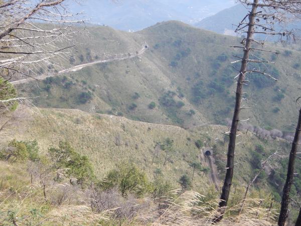 Название: DSCN0267.jpg
Просмотров: 869
Размер: 60.4 Кб