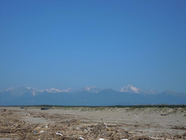 Название: DSCN3795.jpg
Просмотров: 905
Размер: 22.0 Кб