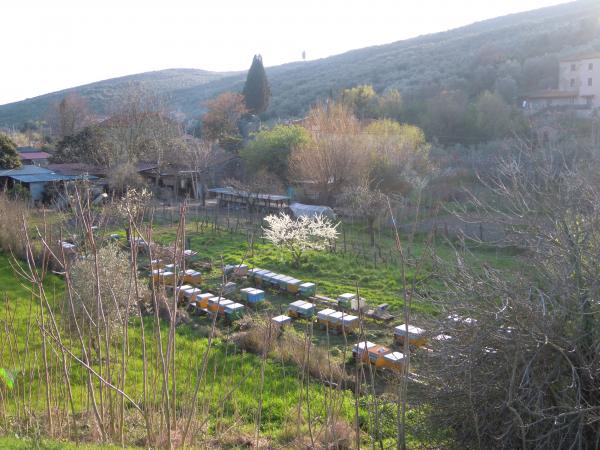 Название: DSCN3813.jpg
Просмотров: 902
Размер: 54.8 Кб