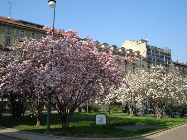 Название: DSCN3836.jpg
Просмотров: 792
Размер: 64.0 Кб