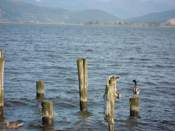 Название: DSCN3903.jpg
Просмотров: 769
Размер: 47.1 Кб