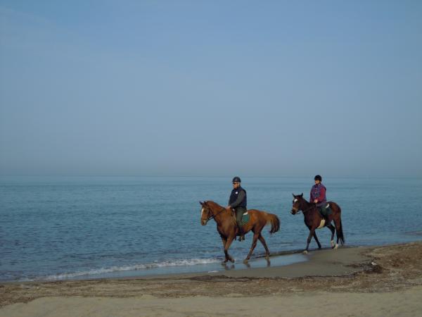 Название: DSCN3927.jpg
Просмотров: 698
Размер: 20.1 Кб