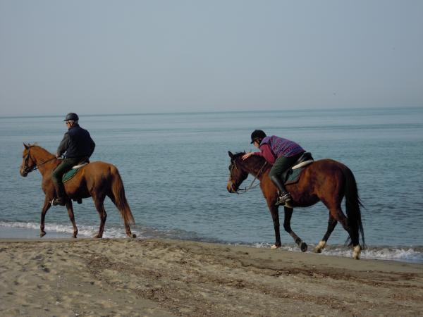 Название: DSCN3928.jpg
Просмотров: 704
Размер: 32.4 Кб