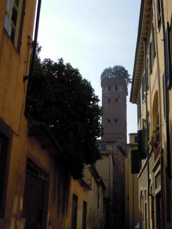 Название: DSCN3877.jpg
Просмотров: 688
Размер: 23.2 Кб