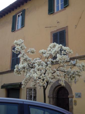 Название: DSCN3867.jpg
Просмотров: 719
Размер: 24.2 Кб