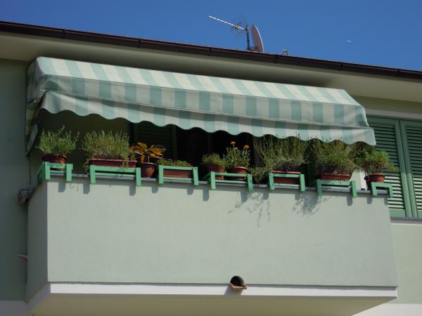 Название: DSCN3958.jpg
Просмотров: 958
Размер: 30.5 Кб