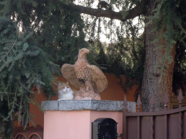 Название: DSCN3968.jpg
Просмотров: 983
Размер: 49.4 Кб