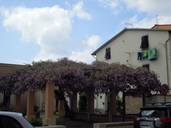 Название: DSCN4033.jpg
Просмотров: 1057
Размер: 33.6 Кб