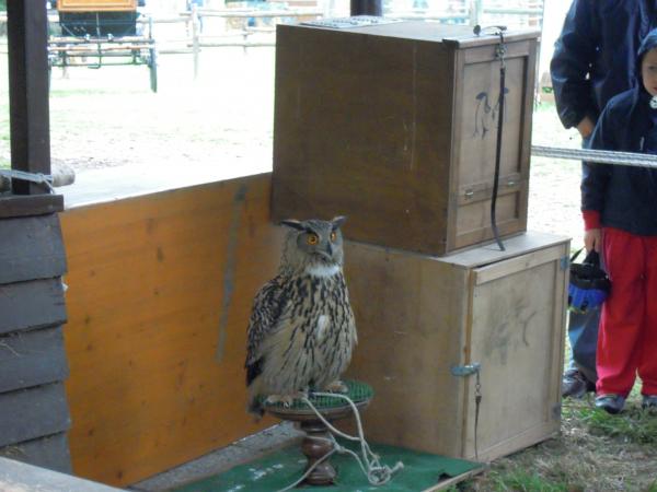 Название: DSCN4068.jpg
Просмотров: 894
Размер: 34.3 Кб