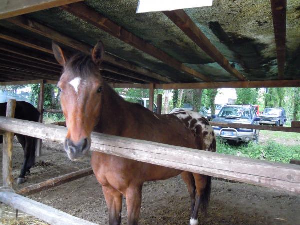 Название: DSCN4074.jpg
Просмотров: 879
Размер: 51.3 Кб